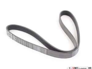 Accessory Belt