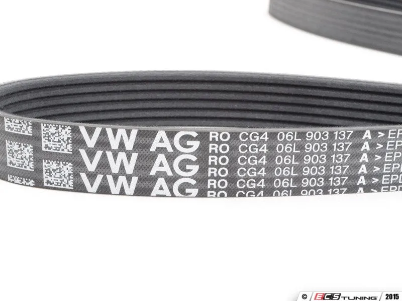 Accessory Belt