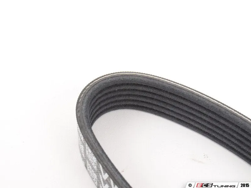 Accessory Belt