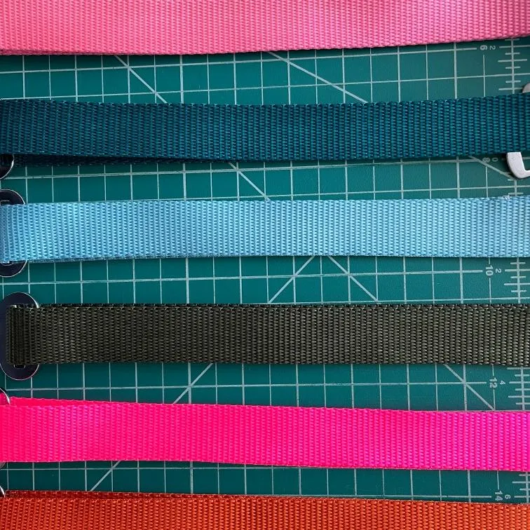 Dog Seat Belts